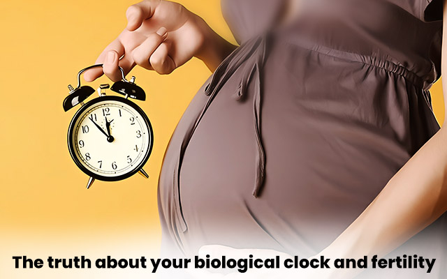 biological clock