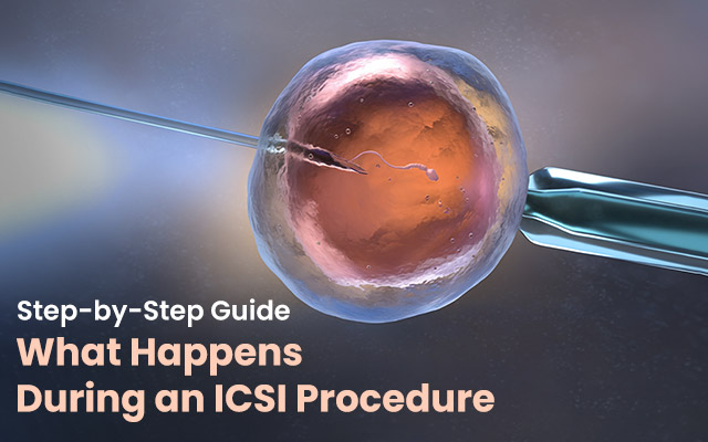 ICSI Procedure