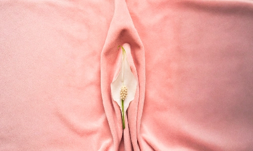 Vaginal Tightening, Petals Health