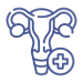 Cosmetic Gynaecology (Surgical)
